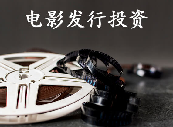 我们的服务 - 电影发行投资